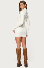 Edikted Turtle Neck Ribbed Knit Mini Dress